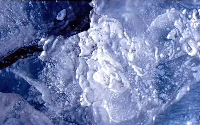 Digital Ocean