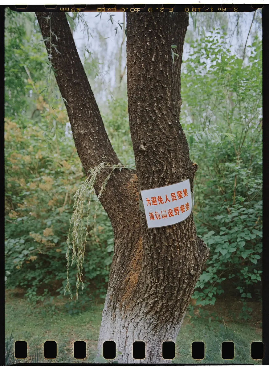 Forest Park