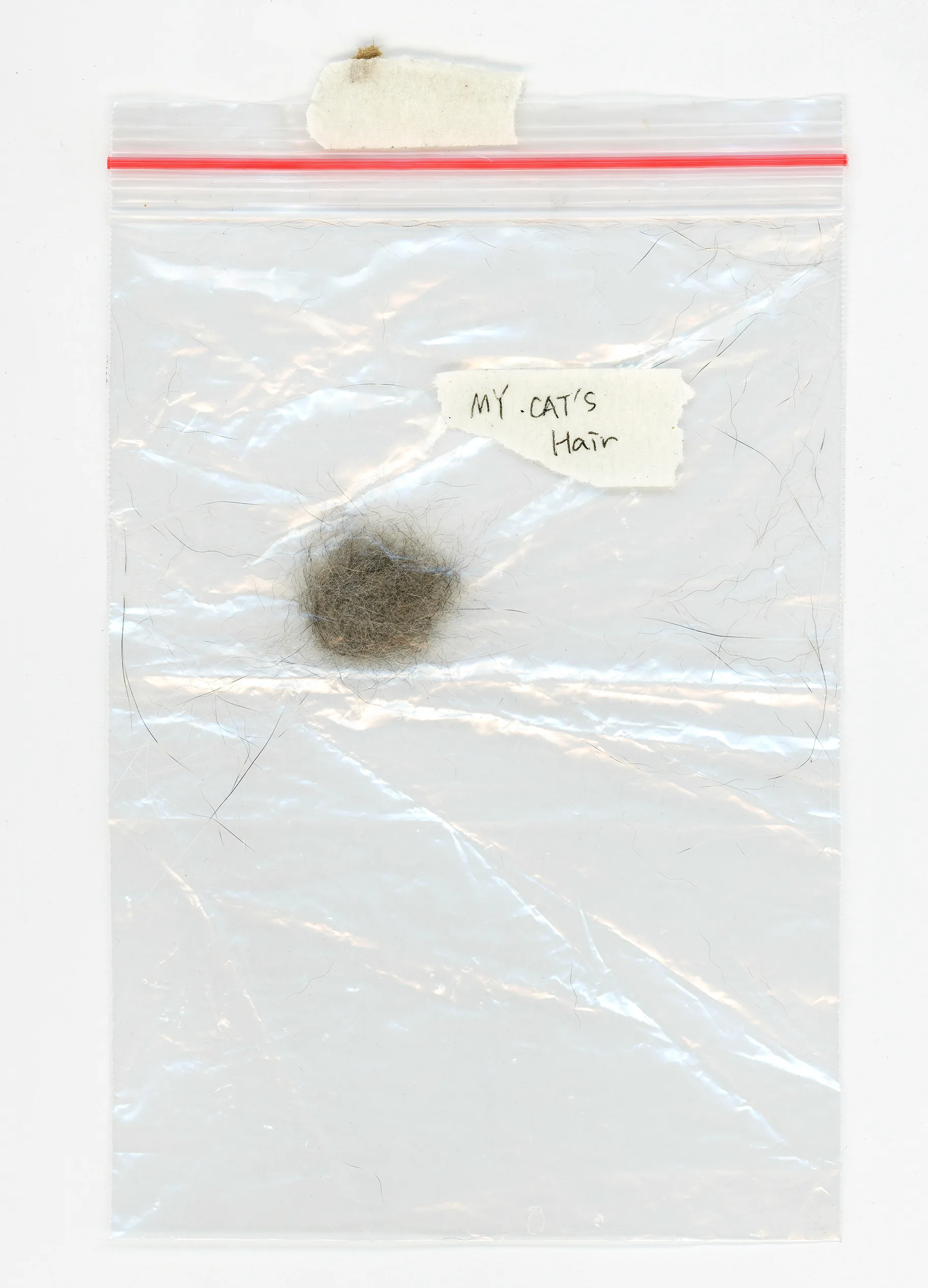 Fragments of Memory, plate 1