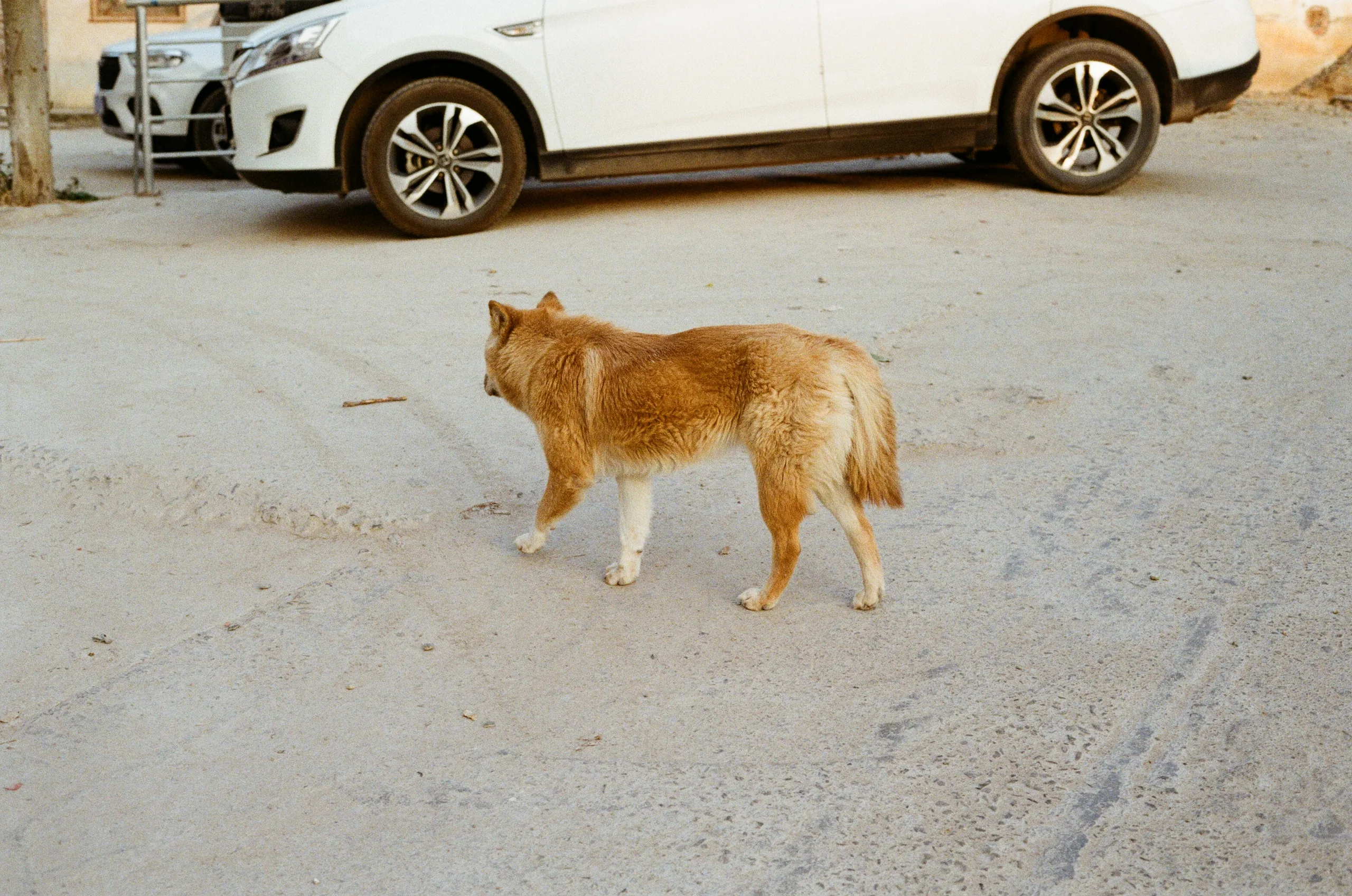 Nowhere: A Road Without End, plate 10